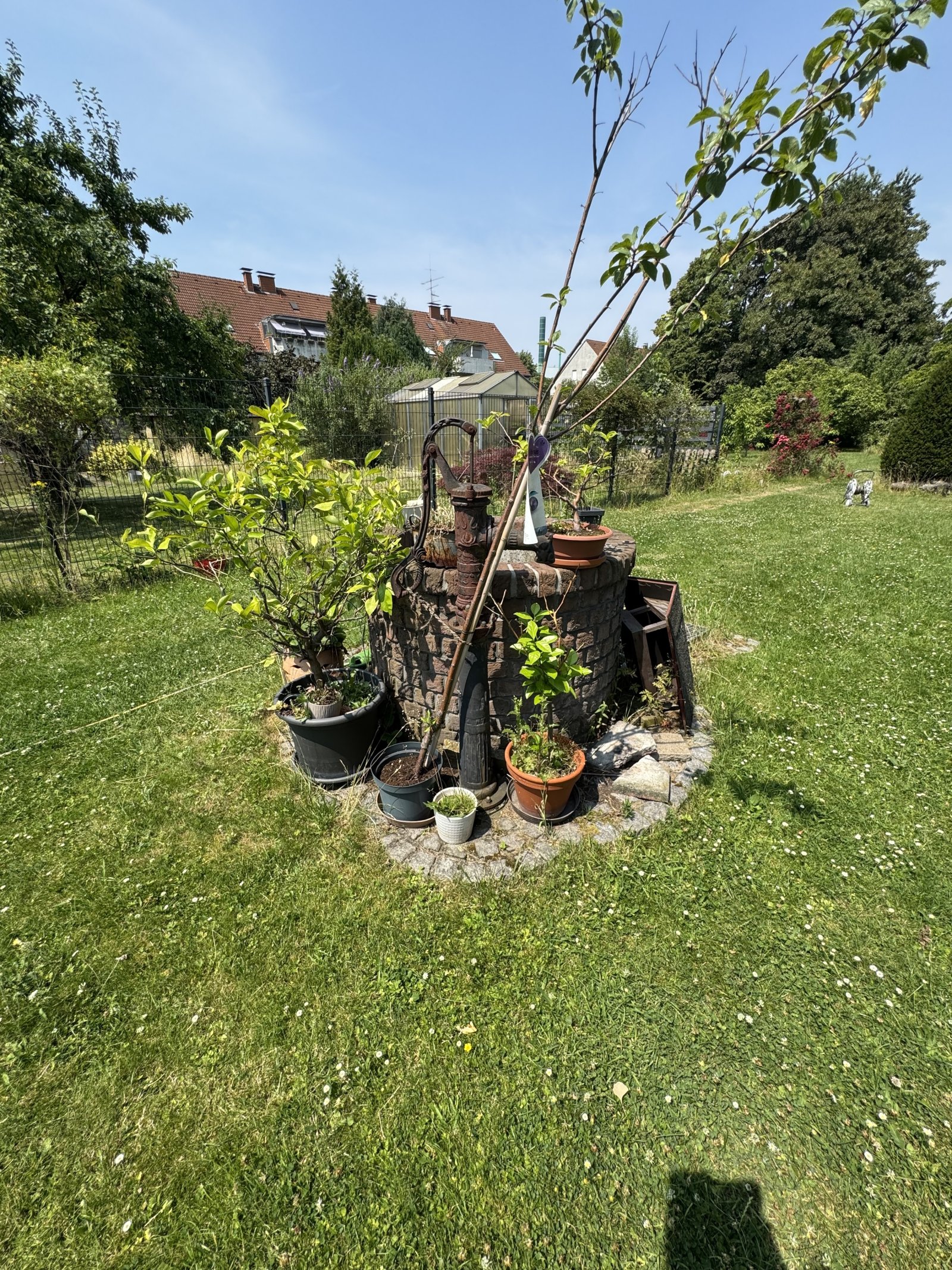 3-Zimmerwohnung, Garage und Gemeinschaftsgarten