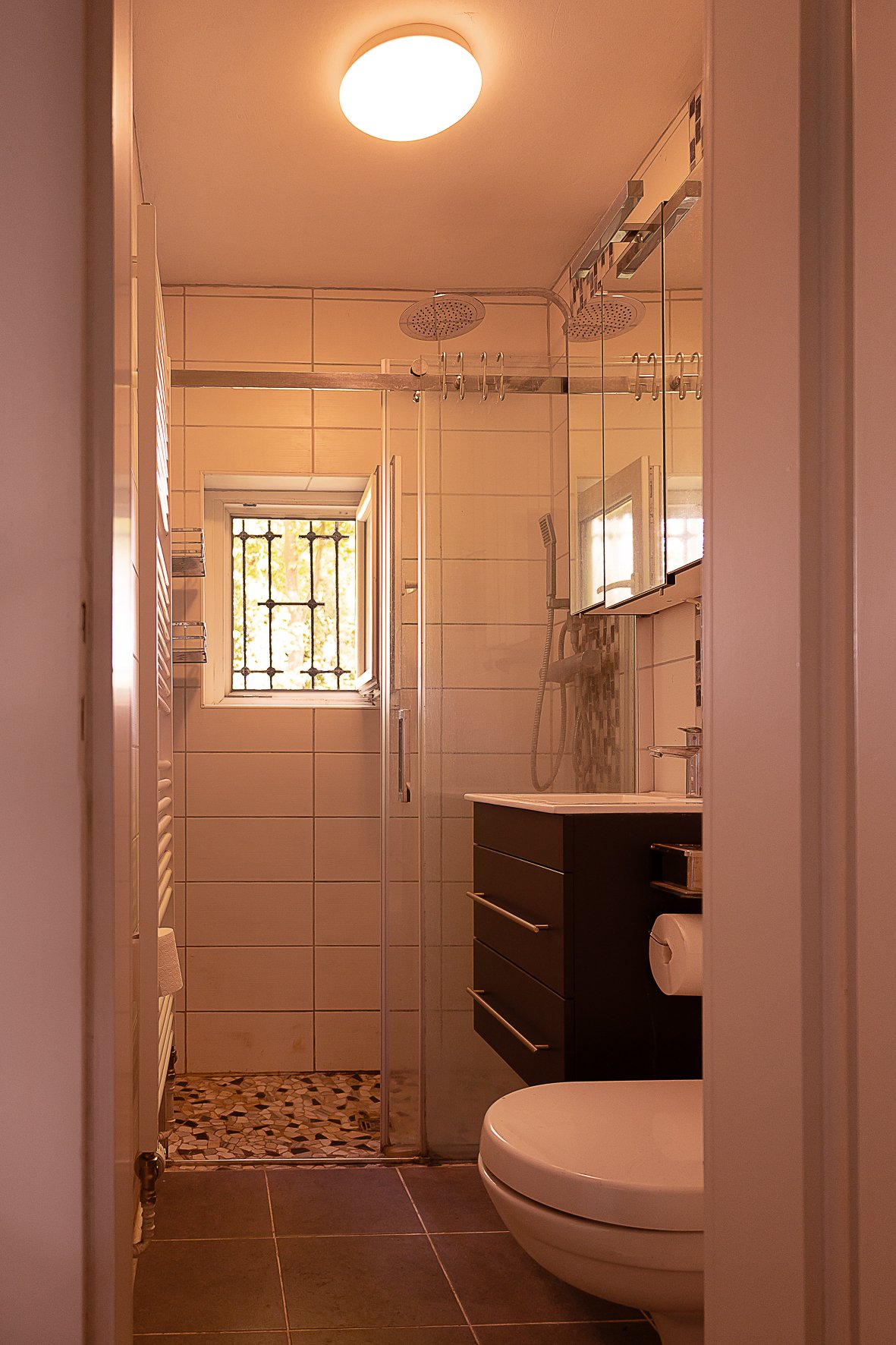 Badezimmer mit Dusche (Erdgeschoss) Badezimmer mit Dusche (Erdgeschoss)