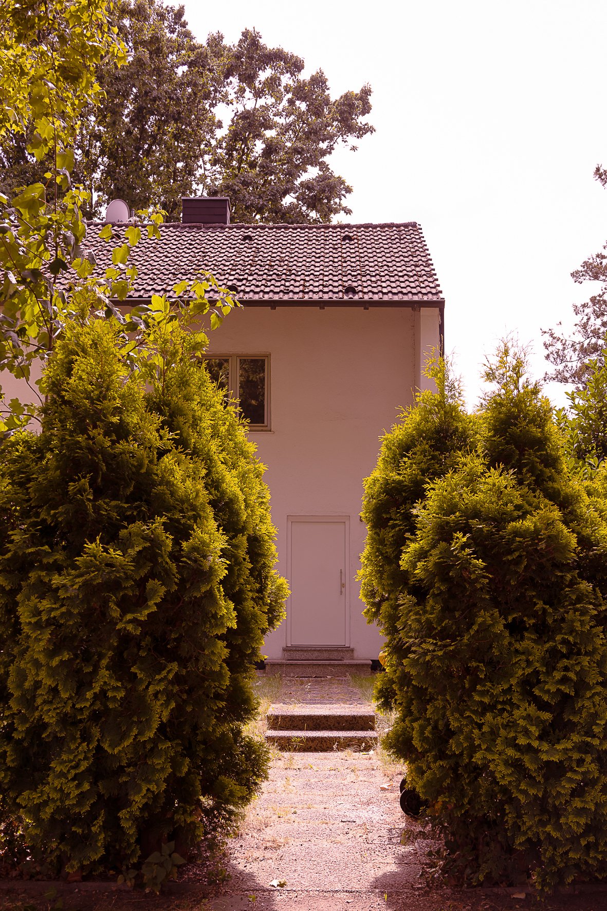 Vordereingang mit Gehweg Vordereingang mit Gehweg