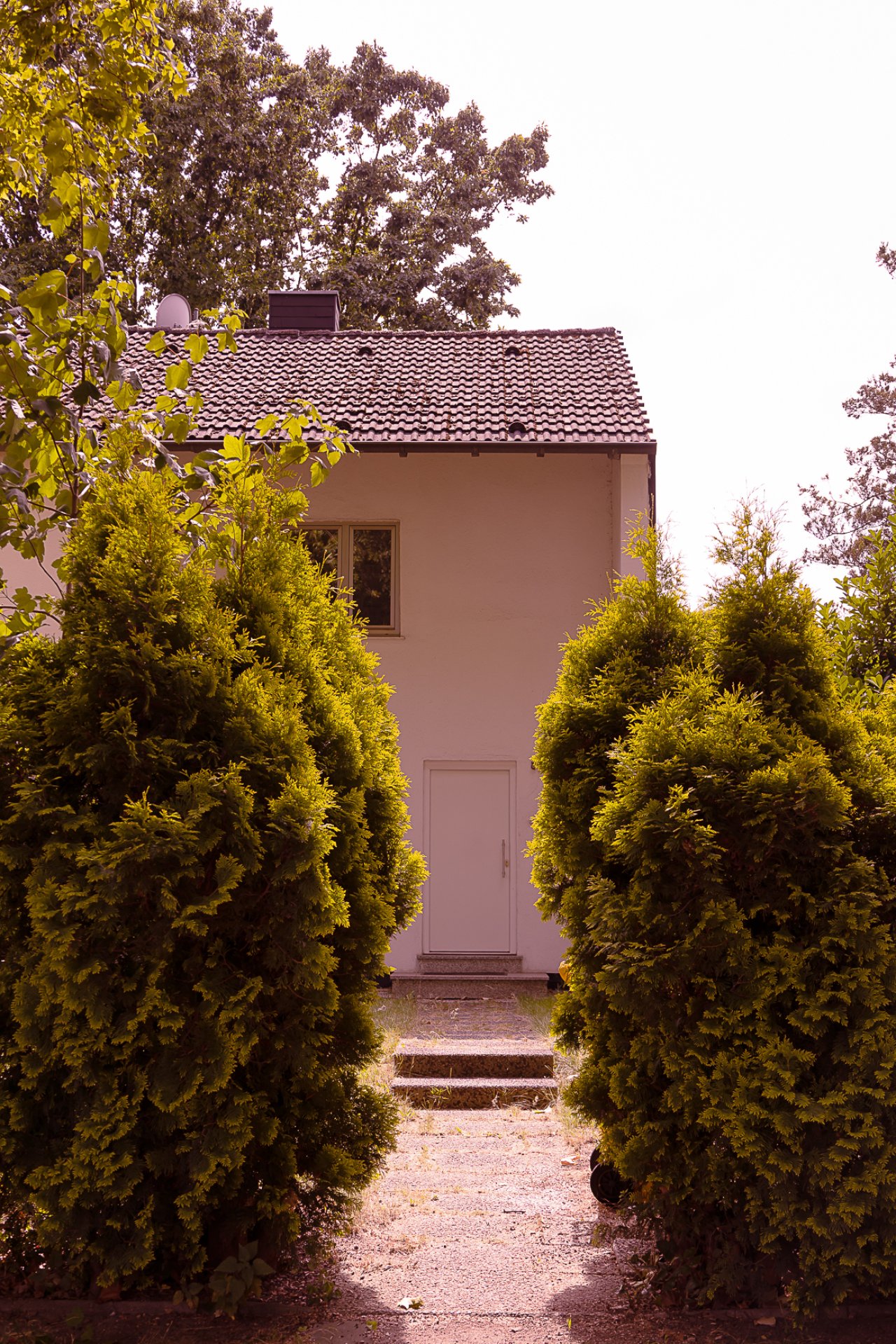 Vordereingang mit Gehweg Vordereingang mit Gehweg