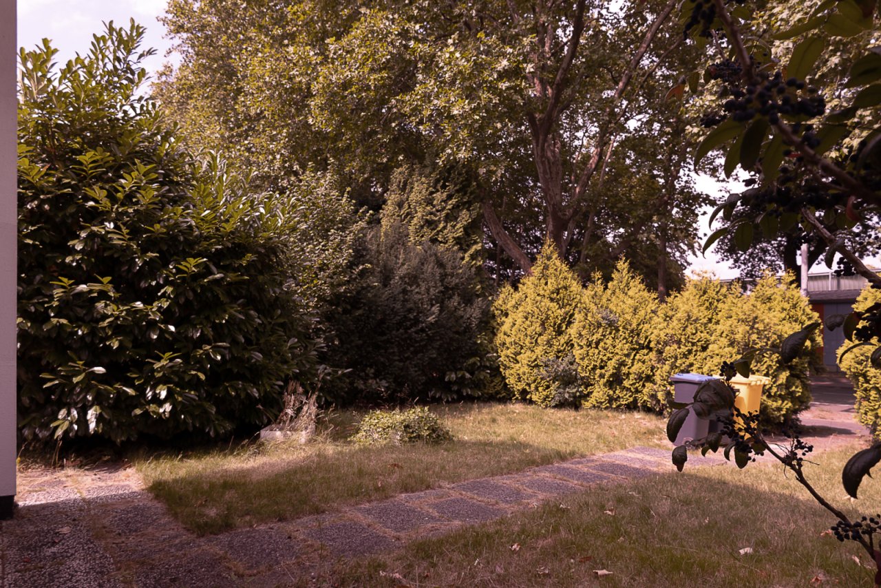 Blick in den Vorgarten Blick in den Vorgarten