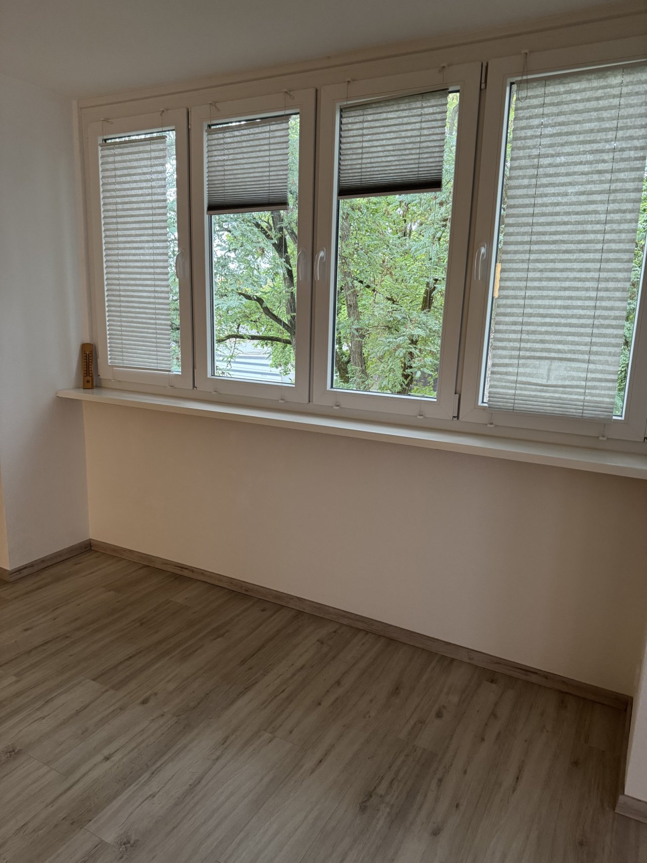Wohnzimmerfenster