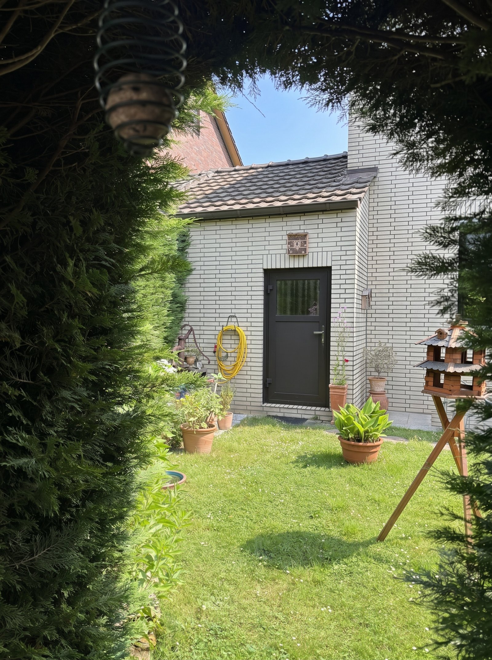 Blick in den Garten